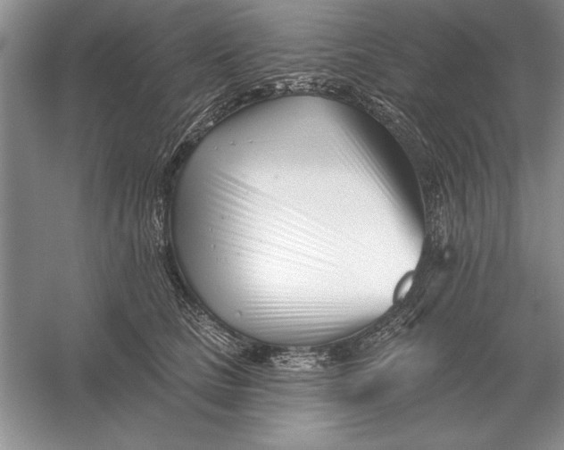 X0000056010661200509092113