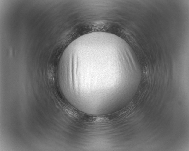 X0000056010663200509092113