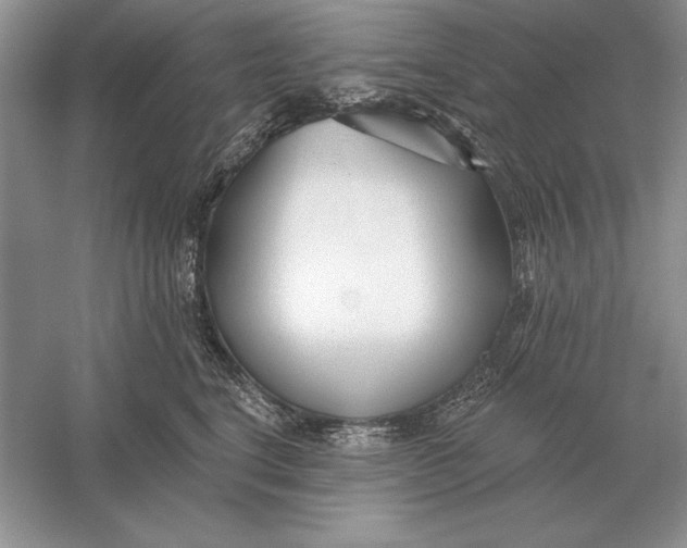 X0000056010664200509092113