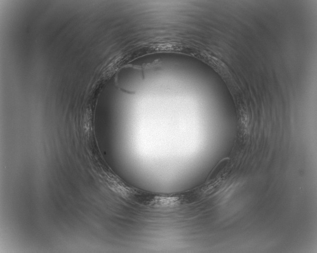 X0000056010665200509092113