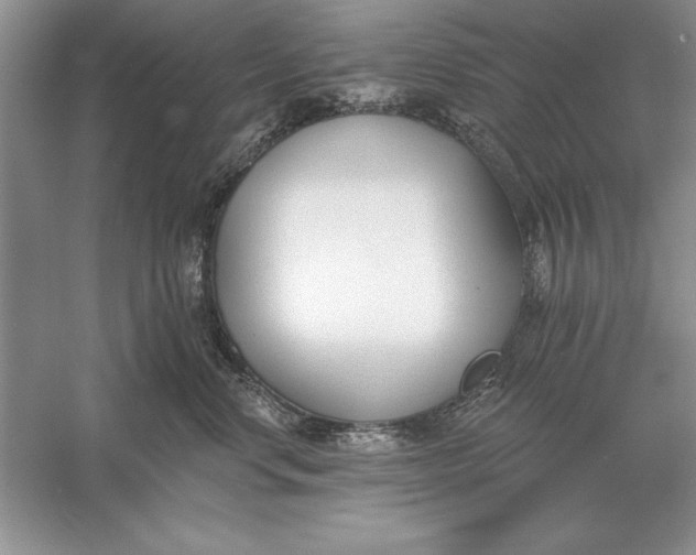 X0000056010668200509092113
