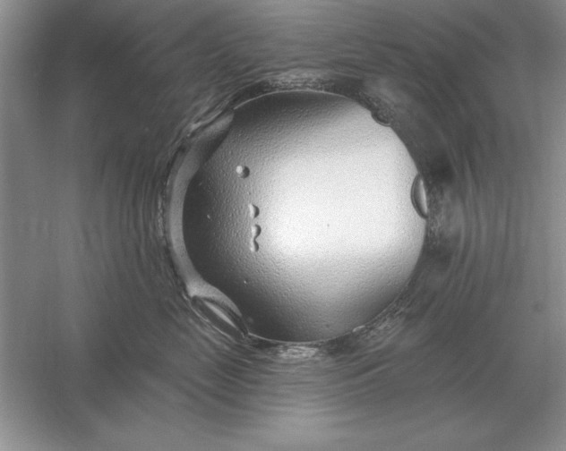 X0000056010669200509092113