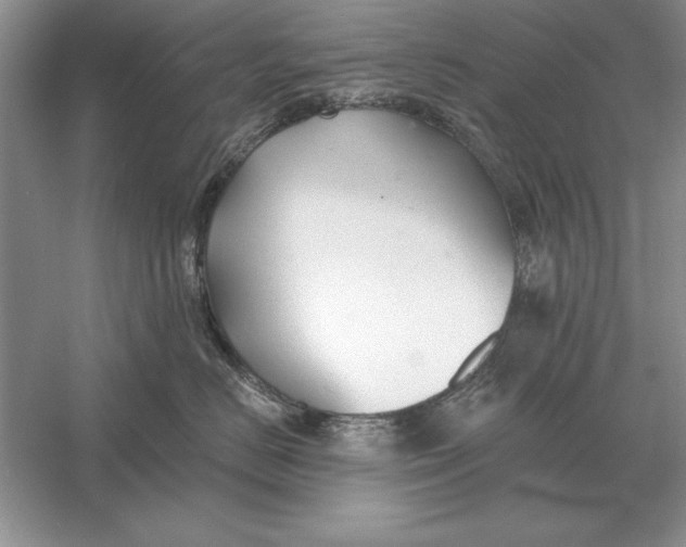 X0000056010670200509092113