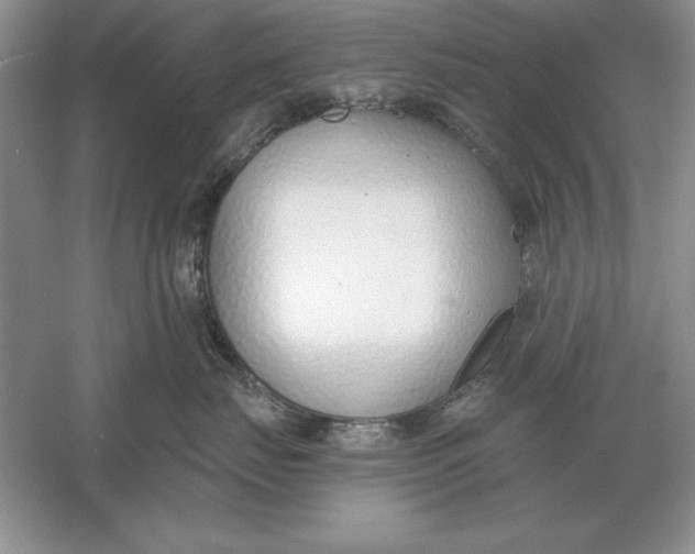 X0000056010671200509092113