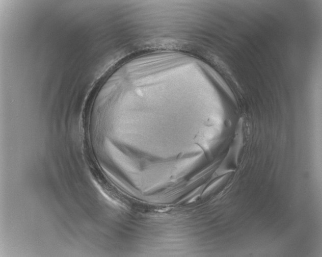 X0000056010674200509092113