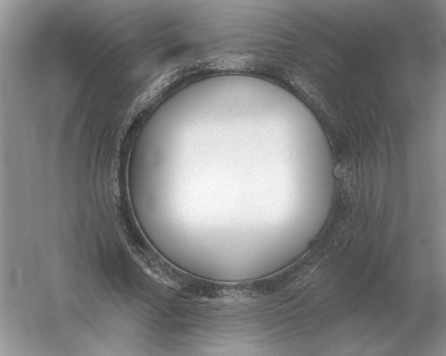 X0000056010682200509092112
