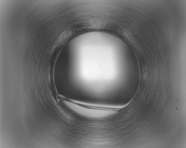 X0000056010685200509092112