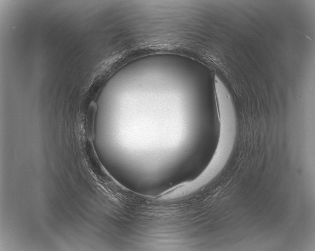 X0000056010688200509092112