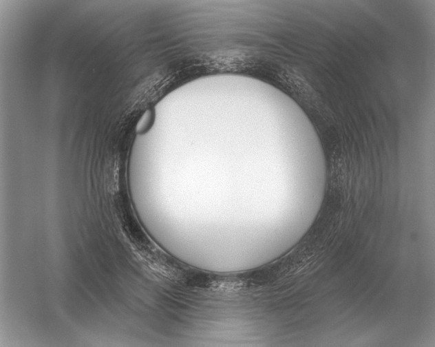 X0000056010694200509092112