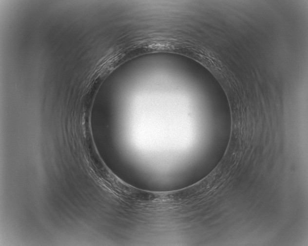X0000056010696200509092112