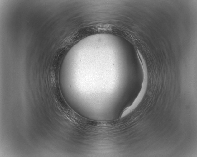 X0000056010704200509092112