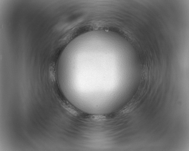 X0000056010719200509092112