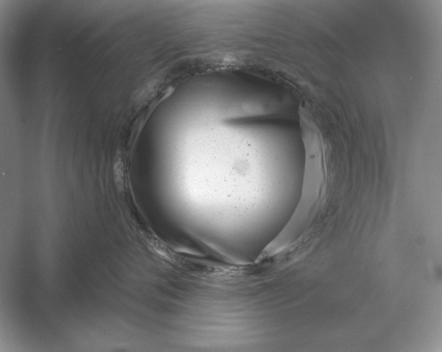 X0000056010720200509092112