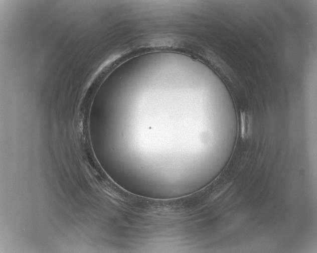 X0000056010723200509092111