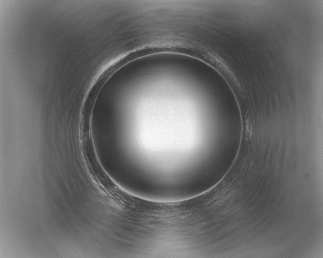 X0000056010724200509092111