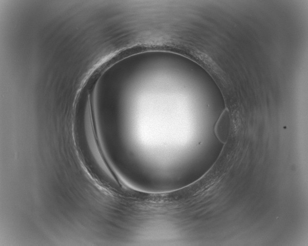 X0000056010728200509092111