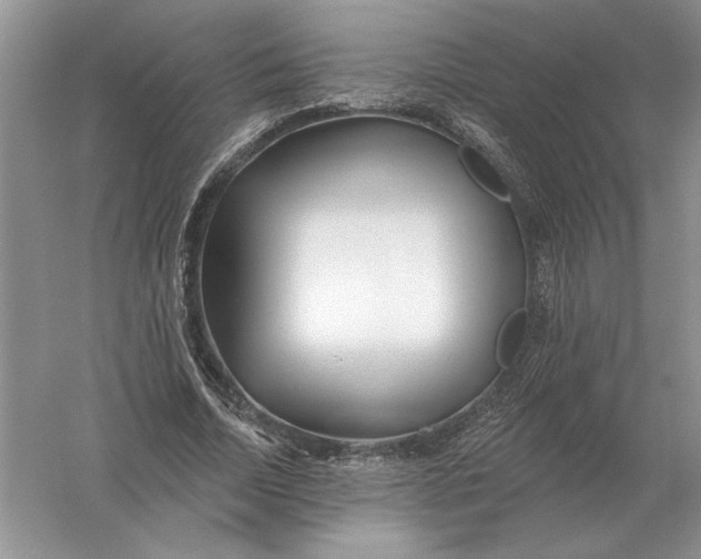 X0000056010730200509092111