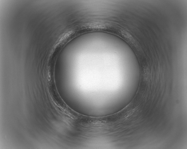 X0000056010731200509092111