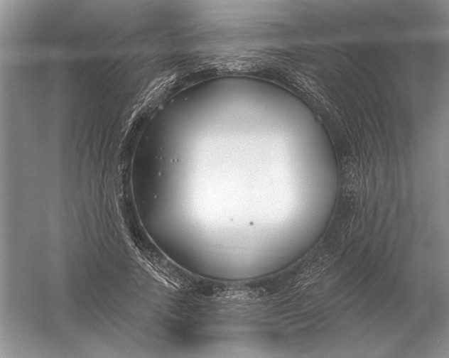 X0000056010738200509092111