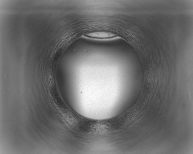 X0000056010743200509092111