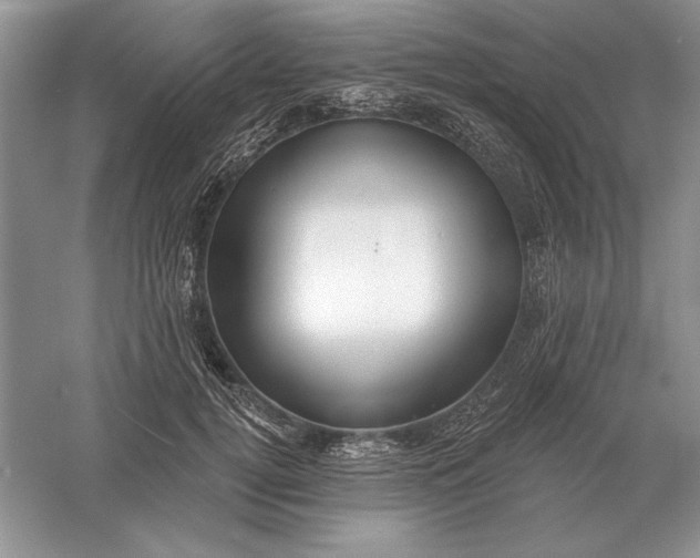 X0000056010752200509092111