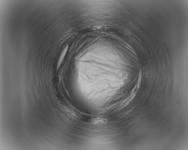 X0000056010754200509092112