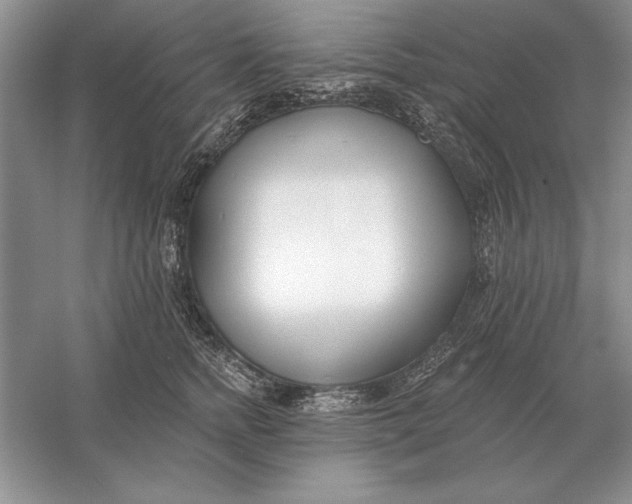 X0000056010758200509092112