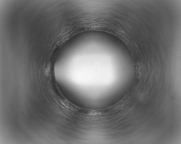 X0000056010760200509092112