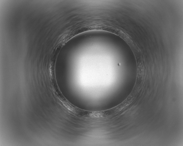 X0000056010762200509092112