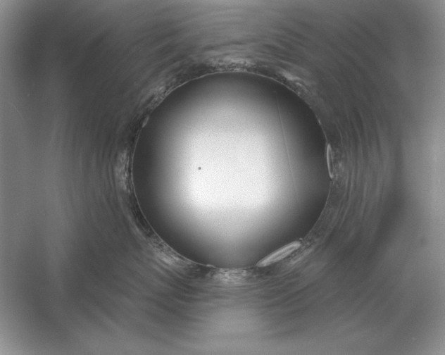 X0000056010767200509092112
