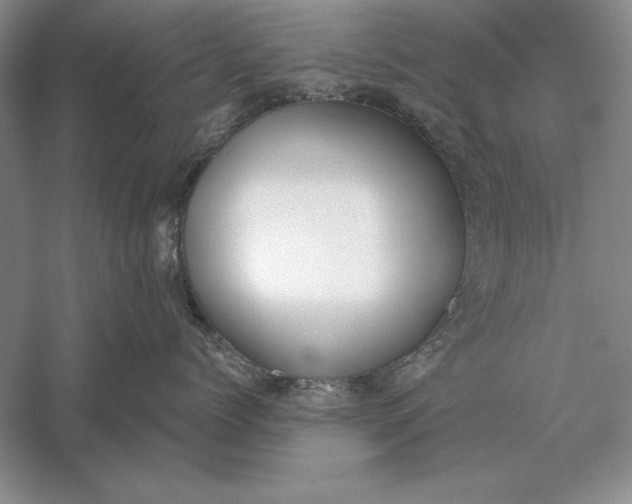X0000056010768200509092112
