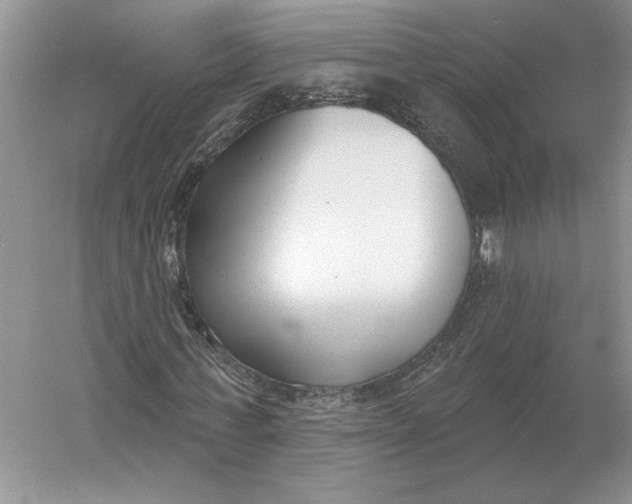 X0000056010771200509092111