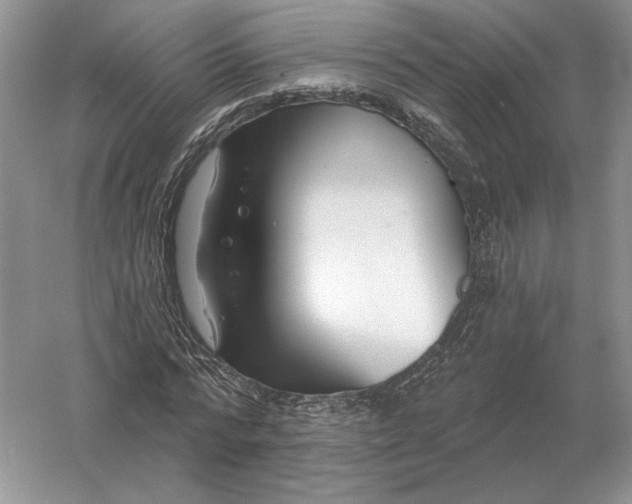 X0000056010776200509092111