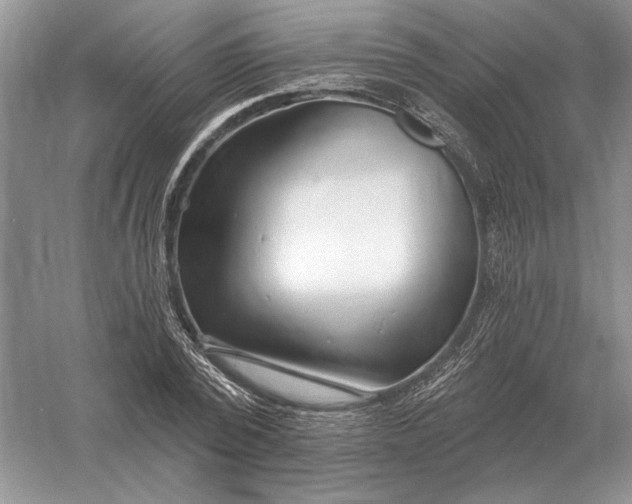 X0000056010784200509092111