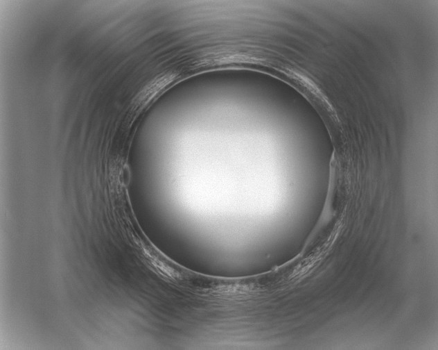 X0000056010793200509092111