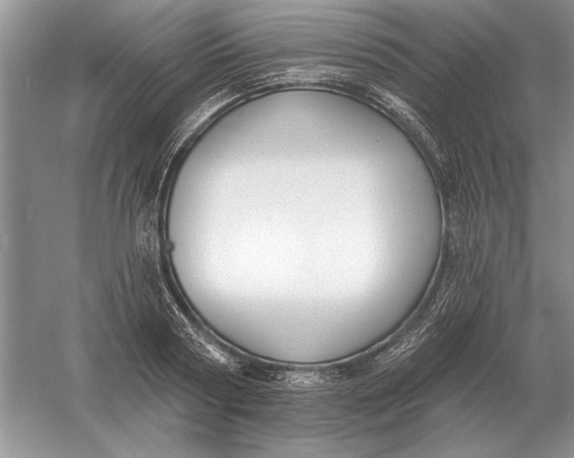 X0000056010794200509092110