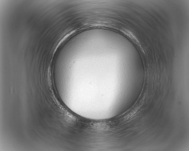 X0000056010798200509092110