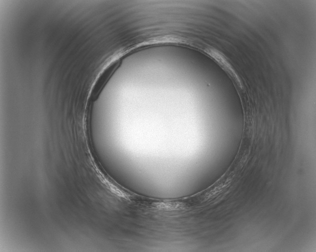 X0000056010805200509092110