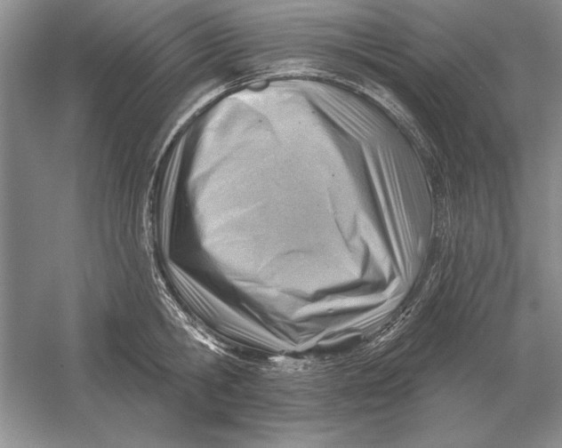 X0000056010806200509092110