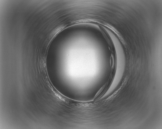 X0000056010809200509092110