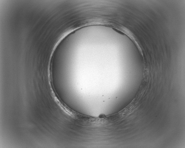 X0000056010811200509092110