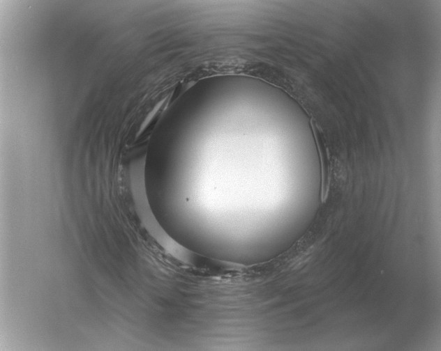 X0000056010818200509092109