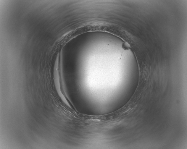 X0000056010821200509092109