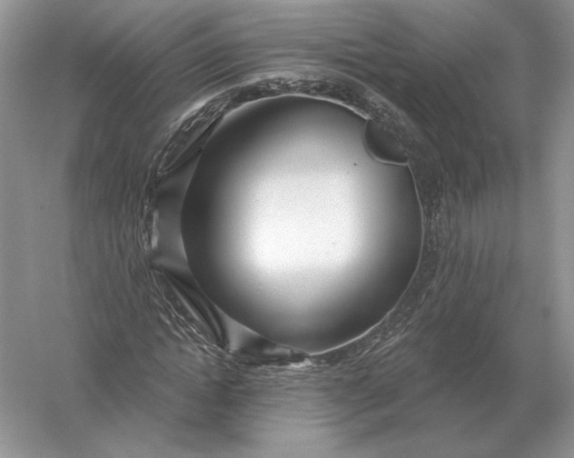 X0000056010822200509092109