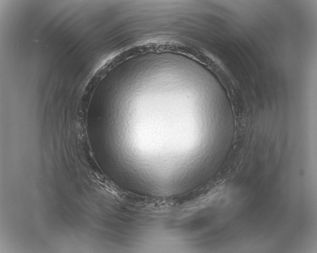 X0000056010823200509092109