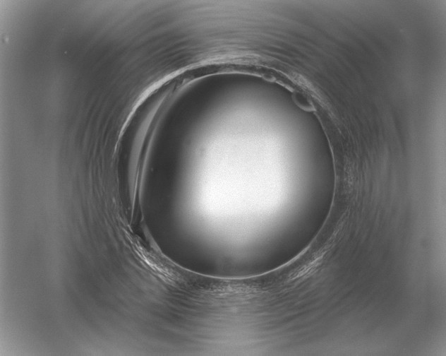 X0000056010830200509092110