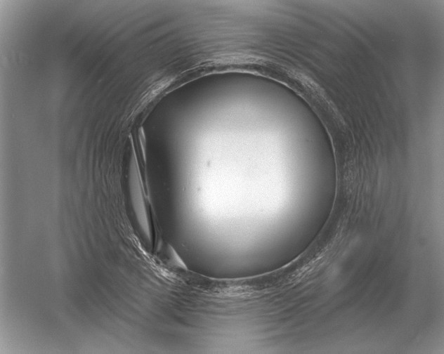 X0000056010833200509092110