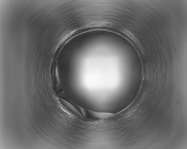 X0000056010834200509092110