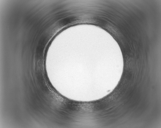 X0000056010836200509092110