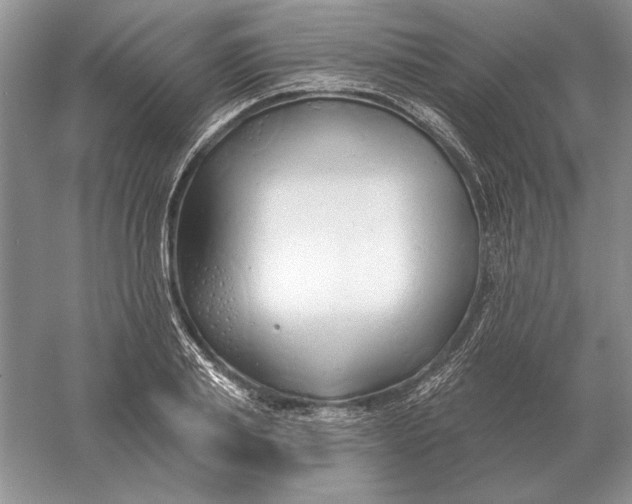 X0000056010839200509092110